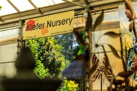 Kiefer nursery - Kiefer Landscaping; Select Page. Home / Trees / Araucaria araucana. ... Kiefer Landscaping & Nursery 2450 South Alston Ave. Durham, NC 27713. 919-596-7313. Send Email ... 